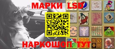 прущие грибы Комсомольск-на-Амуре