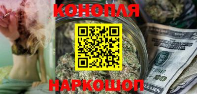 прущие грибы Комсомольск-на-Амуре