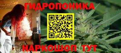 прущие грибы Комсомольск-на-Амуре